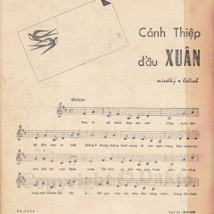 Cánh Thiệp Đầu Xuân