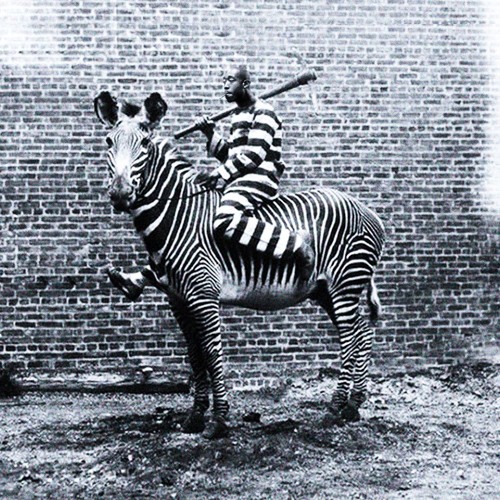 Stream Freddie Gibbs Deeper (digitalluc Remix) by digitalluc Listen(06)