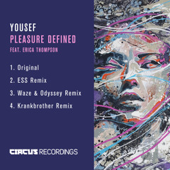 Yousef Feat. Erica Thompson - Pleasure Defined (Krankbrother Remix)
