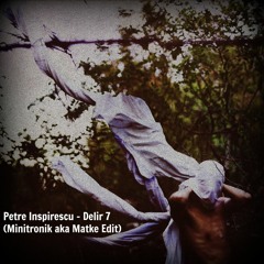 Petre Inspirescu - Delir 7 (Minitronik Aka Matke Edit) FREE DOWNLOAD X 100