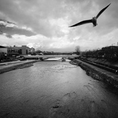 A Hymn to Yatteiki Manifesto