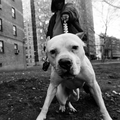 Slum Dogs - Henny Mack & Kaotic Rawkus (Prod. By Shaky Fingers)