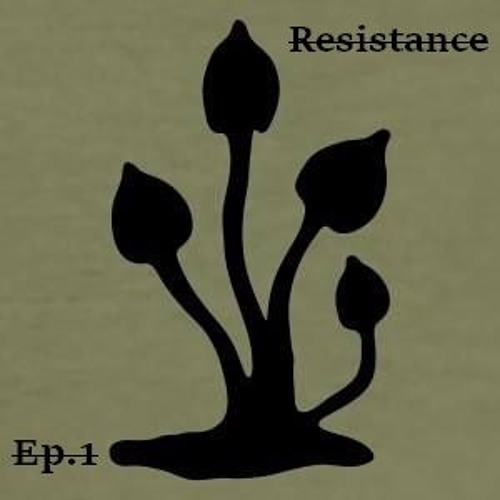 Bug Systeme Solution-épisode 2
