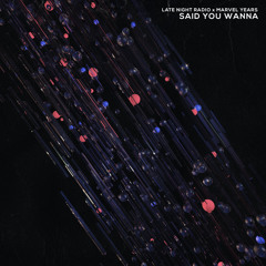 Said You Wanna (ft. Marvel Years)