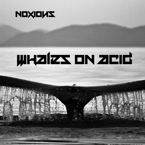 Whales on Acid // NOXIOUS
