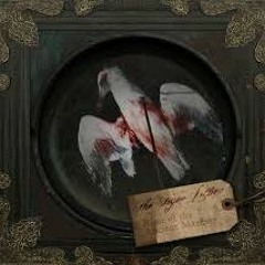 SEAGULL DRUMS RADIO