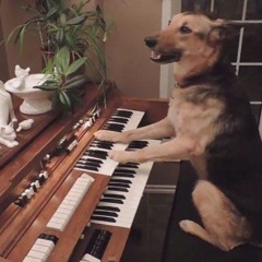 Smokepurpp X Lil Pump X Og Maco Type beat "Dog"