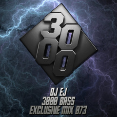DJ EJ - 3000 Bass Exclusive Mix 073 [Free Download]