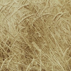 Untitled (mix 002)