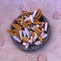 I tried to call you last night but you didn't pick up