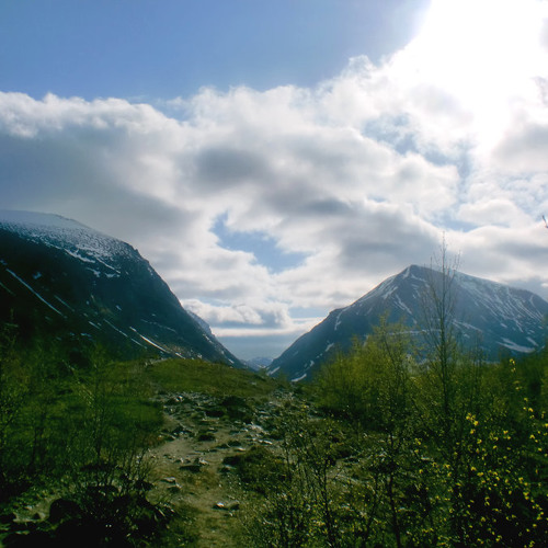 Peace in my heart // OFFICIAL