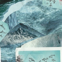 FaceWash <Beat Tape>