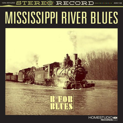 Shake It Baby (John Lee Hooker)