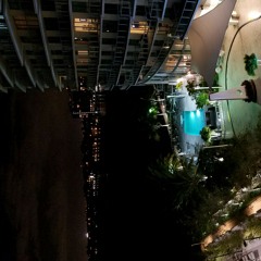 Should've Known - Valo & Young N Fly