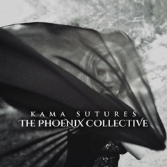 Don't Be Alarmed (Bitterpants Remix)