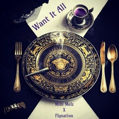 Want It All Milli Melz X Flynation