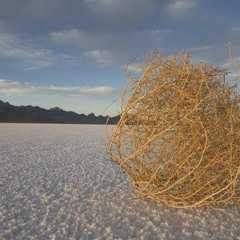 Tumbleweed