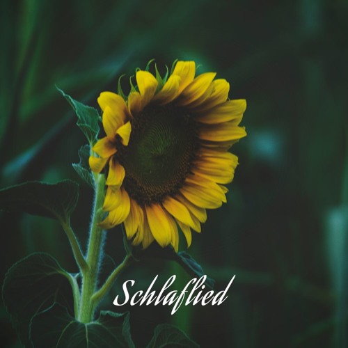 Schlaflied