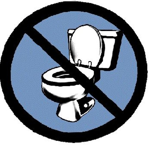 All Prog! No Bog!