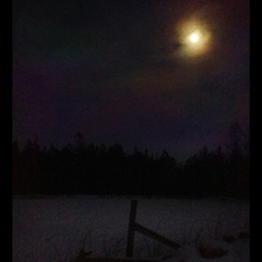 Magneto ~impressions (Nick Cave)