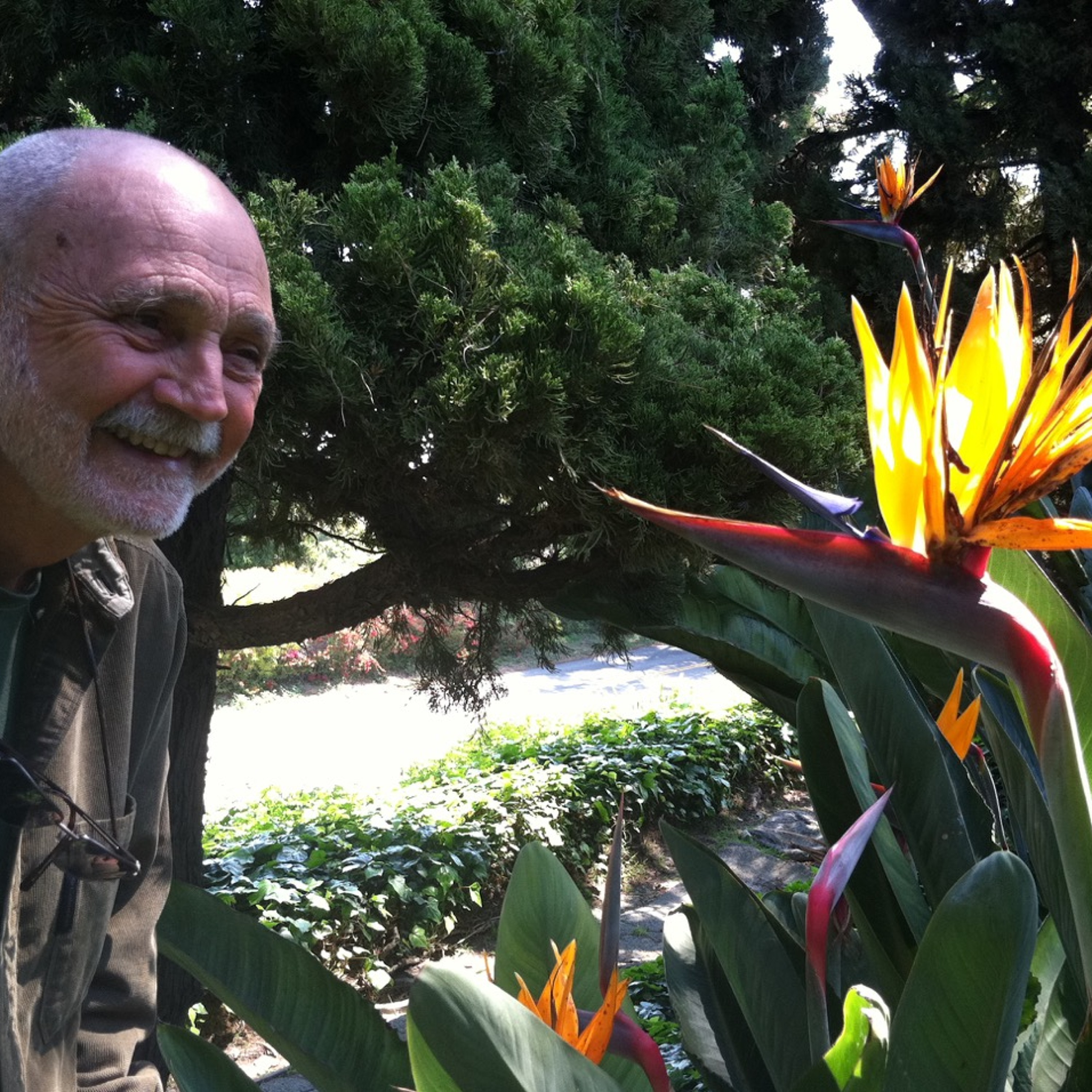 Mindfulness Practice - Culadasa episode artwork