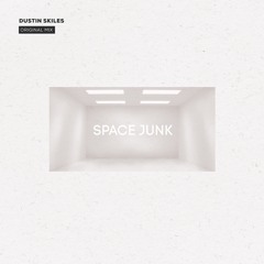 Space Junk (Original Mix)