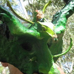 the fucked up crust goblyns demented song