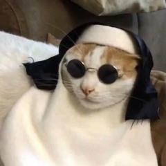 holy cat mix