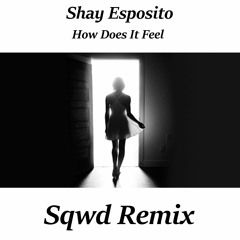 Shay Esposito - How Does It Feel (Sqwd Remix)