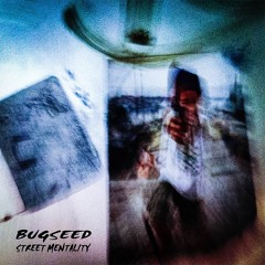 Bugseed - Stay Gold