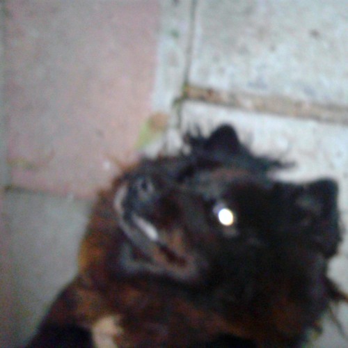 i don't lose sleep over that shit.