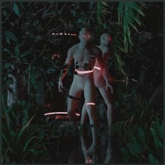 Medasin - Territory