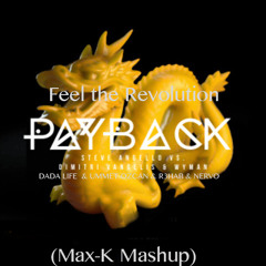 Payback - Steve Angello w Dimitri Vangelis & Wyman(Max-K mashup: Feel the code & Revolution)