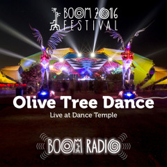 OliveTreeDance - Dance Temple 18 - Boom Festival 2016