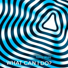 Tomy Wahl - What Can I Do (Original Mix)