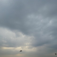 Danse de l'éternite