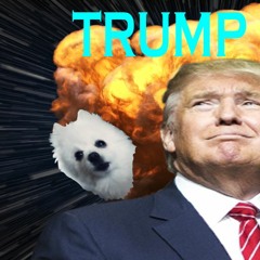 The Trump Song (INSTRUMENTAL)