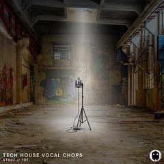 AT - THVC - 124BPM - Loop 075 Em