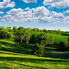 سلمتك بيد الله... محمد كبها