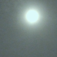 On a Raised Beach by Hugh MacDiarmid (from Dungeons to the Sky)