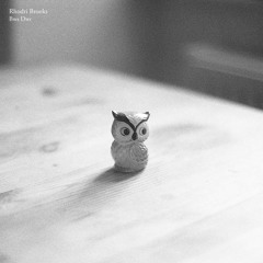 Rhodri Brooks - Bws Dŵr