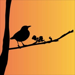 Songs For Sleepy Birds