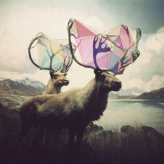 Reindeer - Instrumental