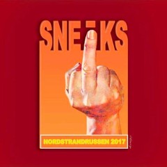 sneiks 2017 - heimsneik