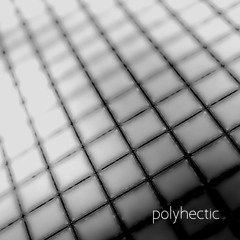 PolyHectic