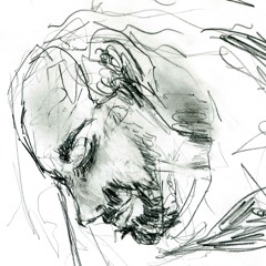 "Expression" Americ + Red Cardinal + Jw