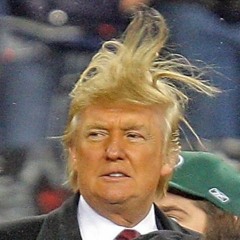 The Official Donald Trump Jam feat. DJ Trumpet (Bronx Cheer Remix)