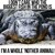 Artwork for Biggest Fish In The Pond EXTENDED - Fearless Motivation - GYM Motivation!