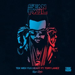 Sean Paul - Tek Weh Yuh Heart Ft. Tory Lanez (NIQUE REMIX)