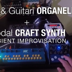 Critter & Guitari Organelle + Modal Craftsynth Ambient Improvisation